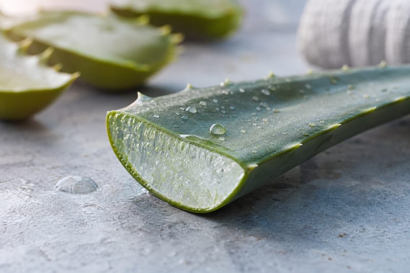 Foglia di aloe vera tagliata con il gel trasparente all'interno